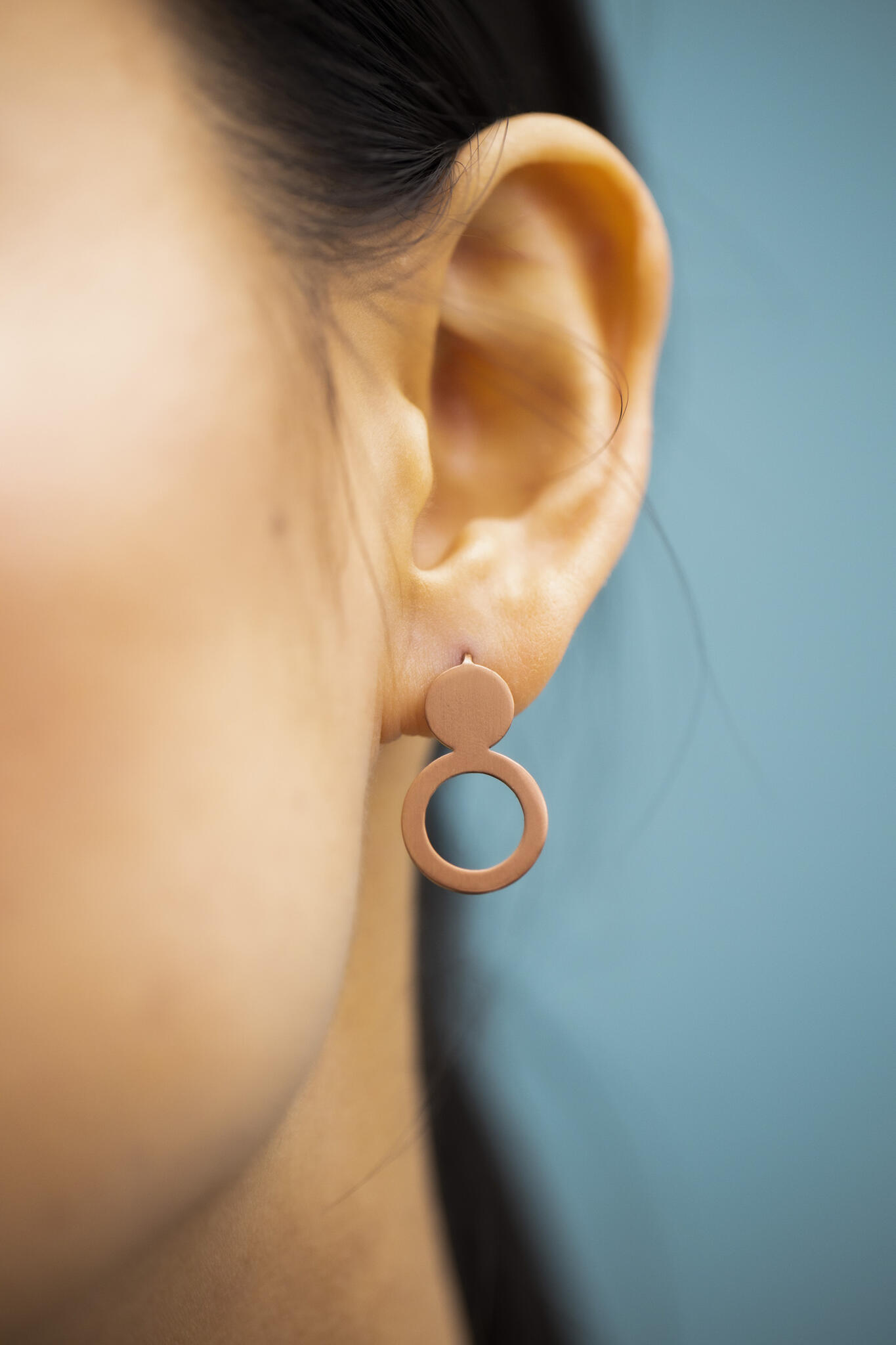 Lentsius_Arc_roos_6_huge