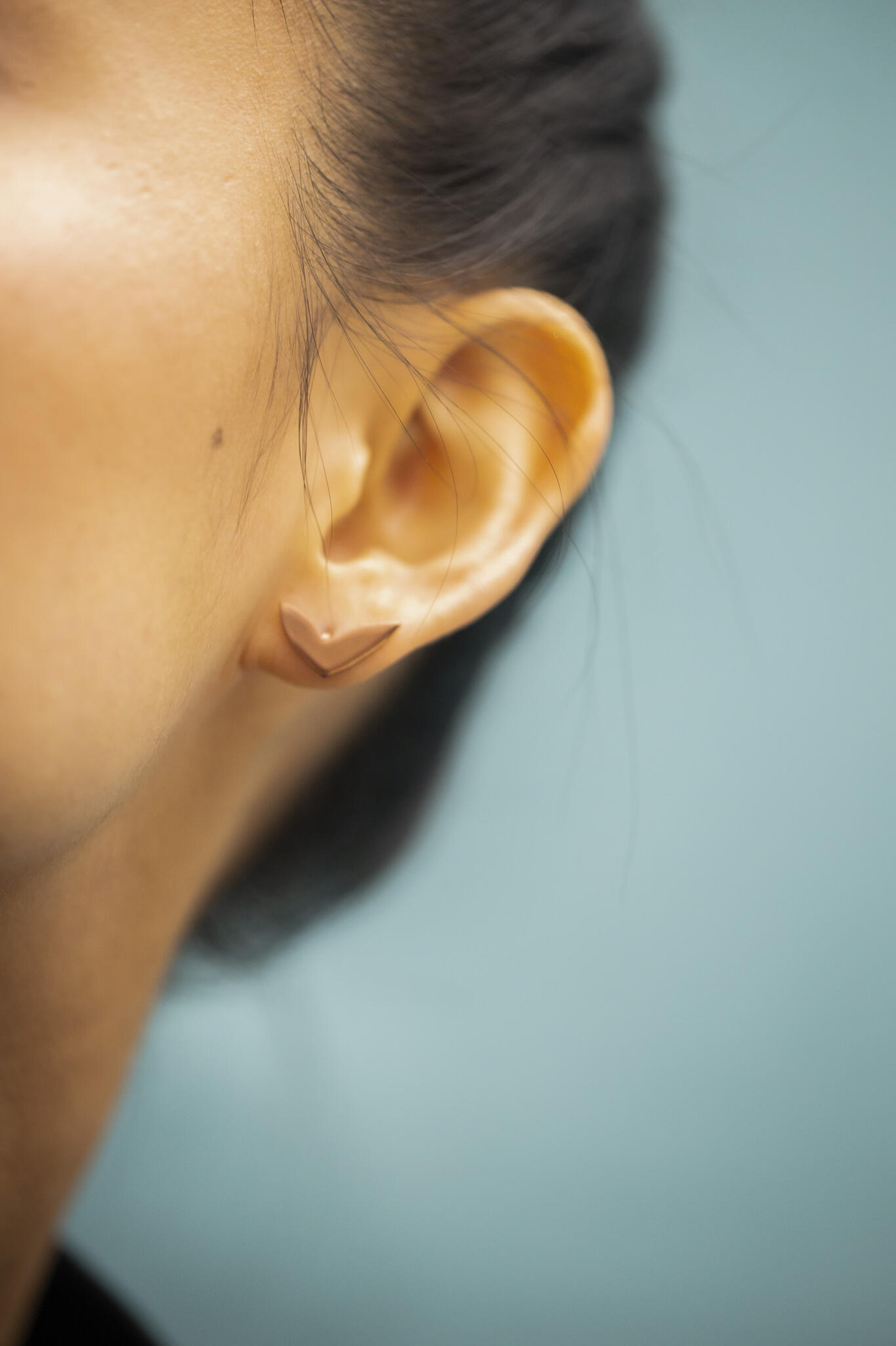 Lentsius_Vola_roos_7_huge