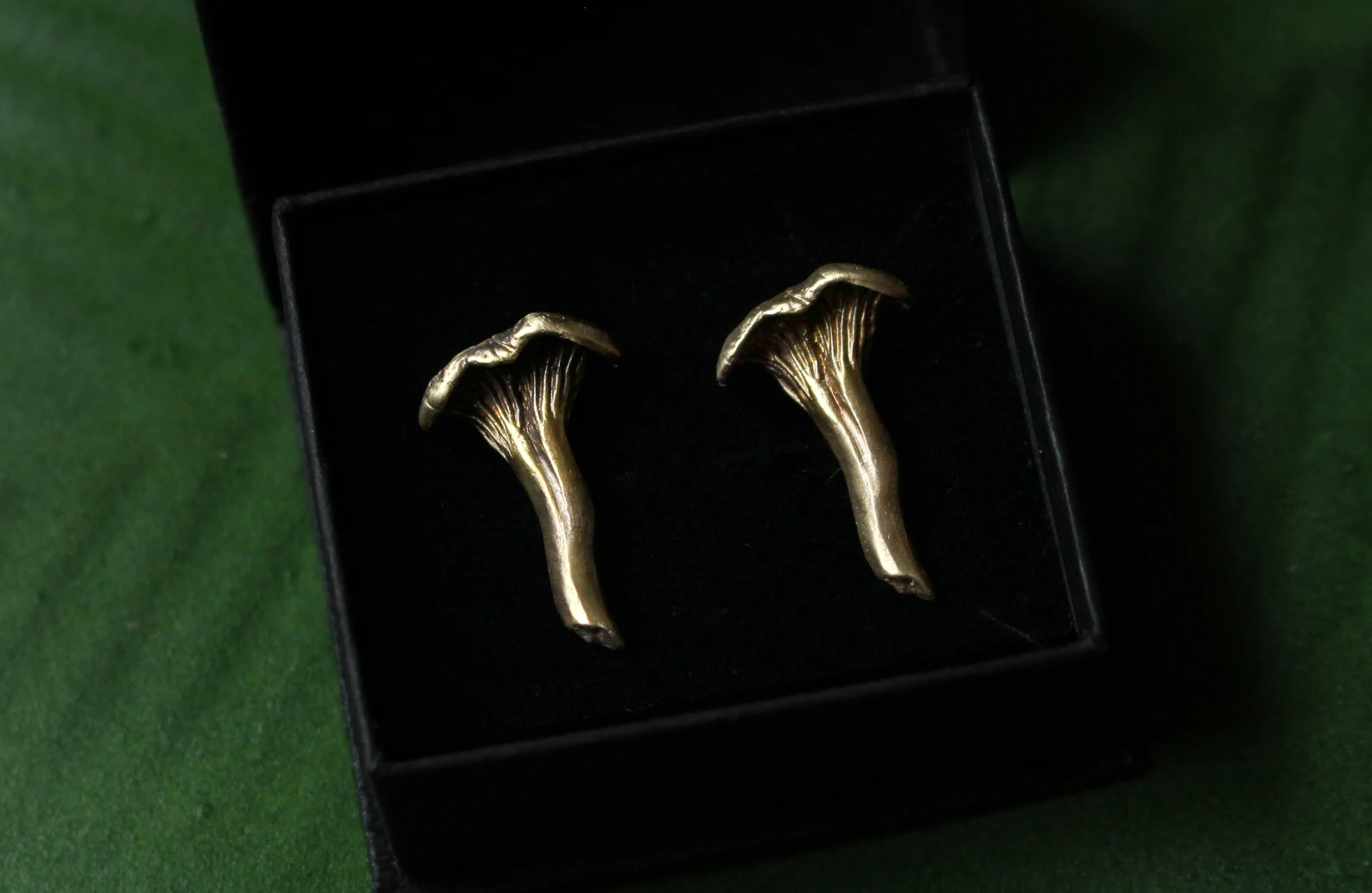 seened kõrvarõngad