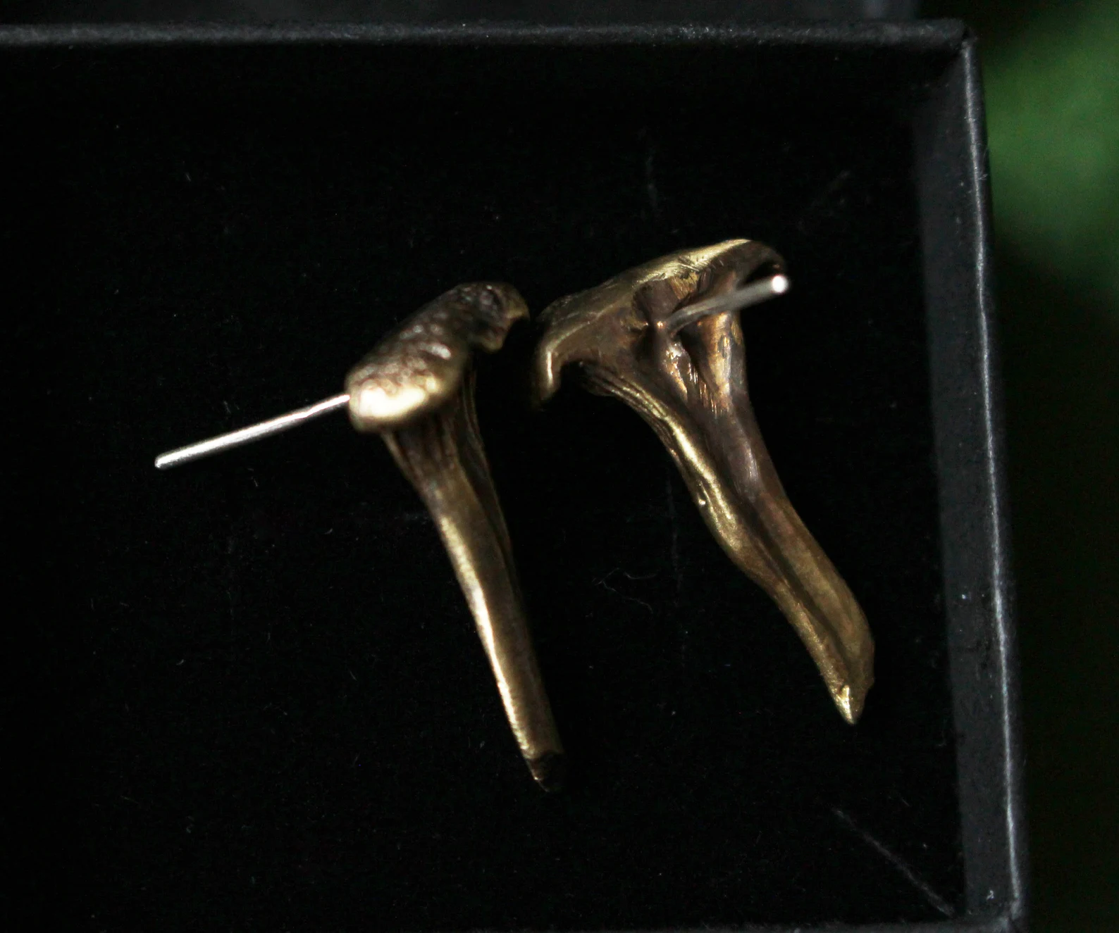 seened kõrvarõngad